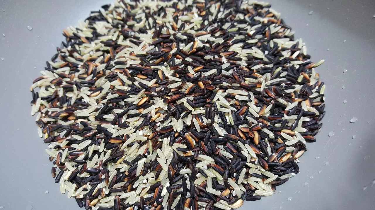 Wild rice