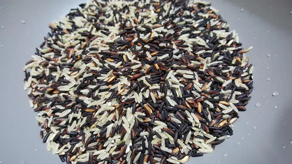 Wild rice